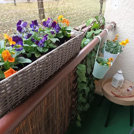 Kata Belvárosi Apartamento Veszprém