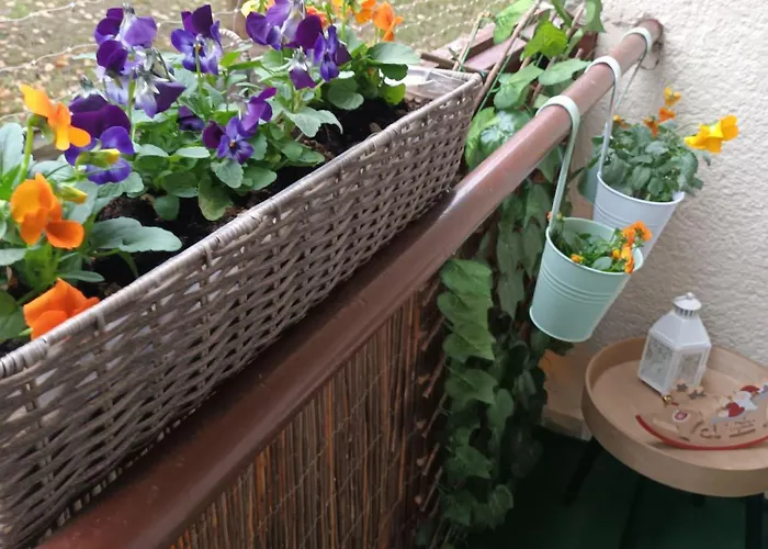 Kata Belvarosi דירה Veszprém