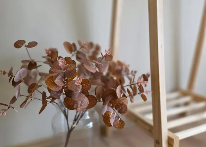 Kata Belvarosi Veszprém