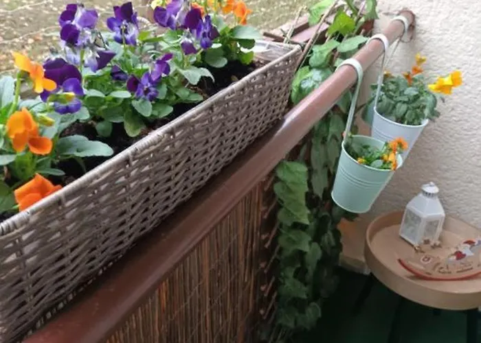 Kata Belvarosi Lejlighed *